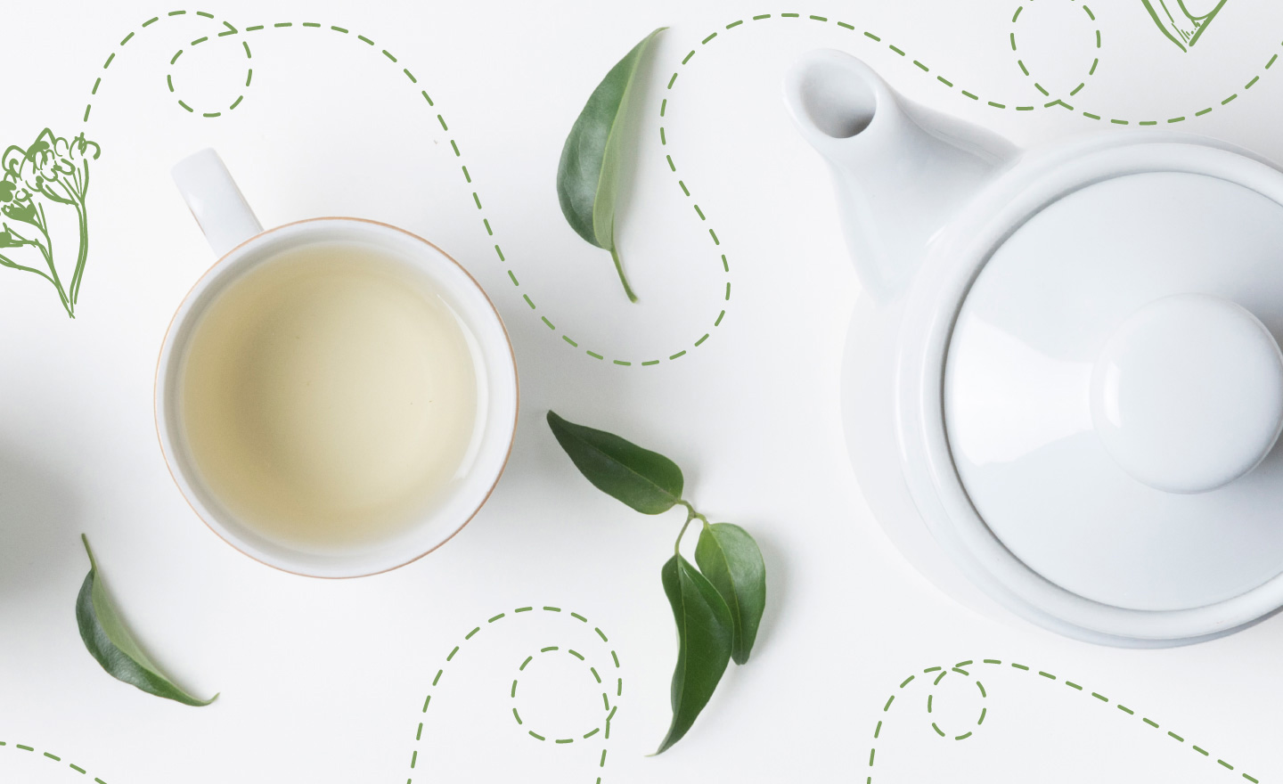台灣茶包種類之一的包種綠茶香氣淡雅而且味道甜潤甘醇