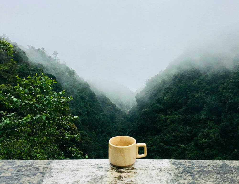 如何泡出高山茶感受茶葉山頭氣味